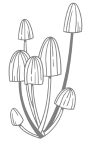 Barcelona retreat